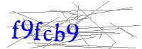 Visual Verification
