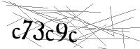 Visual Verification