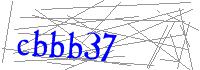 Visual Verification