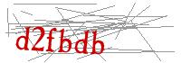 Visual Verification