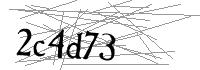Visual Verification