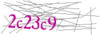 Visual Verification