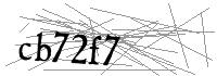 Visual Verification