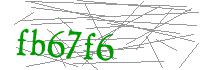 Visual Verification