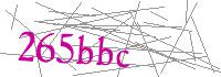 Visual Verification