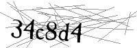 Visual Verification