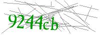 Visual Verification
