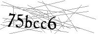 Visual Verification