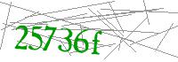 Visual Verification