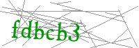 Visual Verification