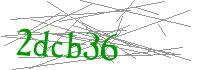 Visual Verification