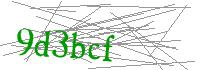 Visual Verification