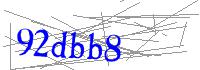Visual Verification