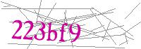 Visual Verification