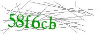 Visual Verification
