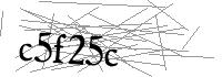 Visual Verification
