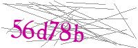 Visual Verification