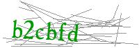 Visual Verification