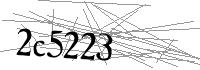 Visual Verification