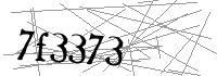 Visual Verification