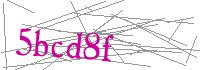 Visual Verification