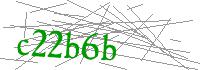 Visual Verification