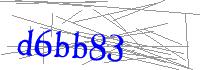 Visual Verification