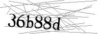 Visual Verification