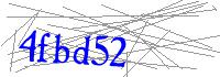 Visual Verification