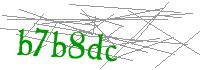 Visual Verification