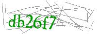 Visual Verification