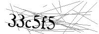 Visual Verification