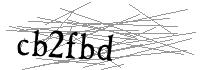 Visual Verification
