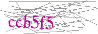 Visual Verification