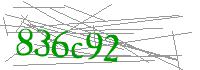 Visual Verification