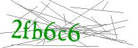 Visual Verification