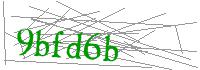 Visual Verification
