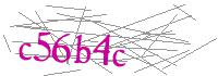 Visual Verification