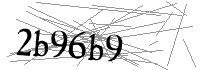 Visual Verification