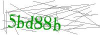 Visual Verification