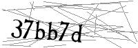 Visual Verification