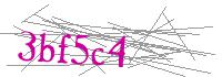 Visual Verification