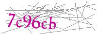Visual Verification