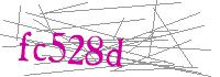 Visual Verification