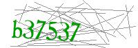 Visual Verification