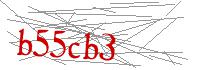 Visual Verification