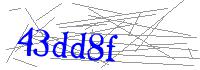Visual Verification