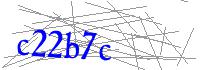Visual Verification