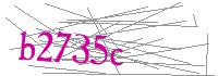 Visual Verification