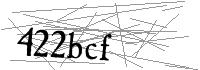 Visual Verification